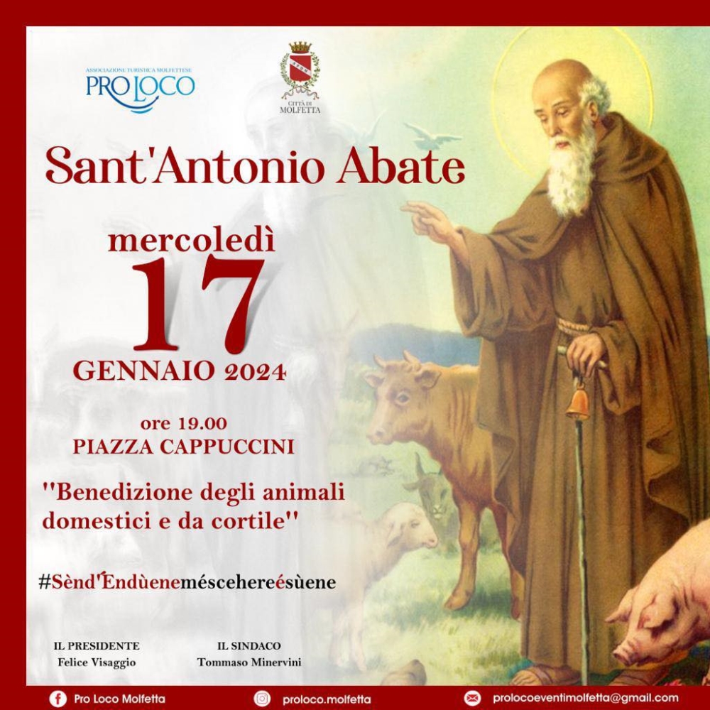 Bar Il Presidente Sant'antonio Abate Quindici Molfetta - Oggi a Molfetta Festa di Sant’Antonio Abate con la
